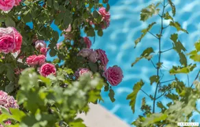 Child-friendly wonderful villa with BBQ & pool | Sea view - Image 4
