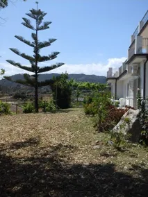 Chiai Francesco: Camera 6 - Image 5