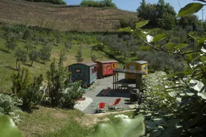 Agriturismo La Rovere: I carrozzoni Gitani - La Poiana e gli Ulivi - Image 4