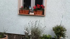 Fully equipped flat | Dogs allowed - Image 2