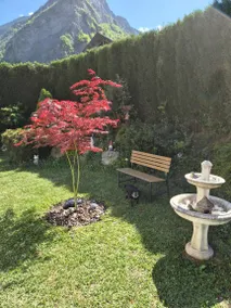 Le cocon des Alpes - Image 2