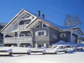 Holiday apartment with sauna, terrace & barbecue | Mountain view - Image 2