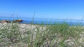 Pleasant holiday home with garden & terrace | Pets are welcome - Image 3