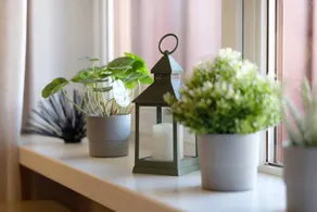 Apartment | Lake view | Perfect for remote work - Image 3