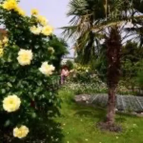 Beautiful apartment with garden - Image 5