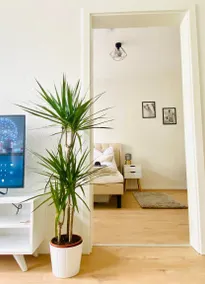Moderne Wohnung mit zentrumsnaher Lage - Image 5