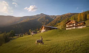 Ferienwohnung "Peilstein" auf dem Innerdurachhof mit See- und Bergblick - Image 2