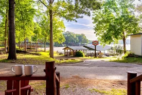 Incredible Lakefront Cabin for a Wonderful Family Adventure in Nature in Hemphill, Texas - Image 2