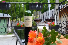 Le Nid de Campan – Mountain View & Terrace in the Heart of the Pyrenees - Image 4