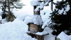 Beautiful house with terrace | Mountain view | Dogs allowed - Image 2