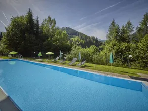 Appartement de vacances convivial et familial avec piscine, terrasse et jardin | Près des pistes de ski | Avec animaux autorisés - Image 2