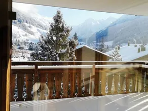 Fully equipped beautiful flat with terrace | Mountain view | Close to the ski - Image 3