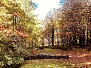 Peaceful Country Retreat with Private Trails, Sauna & Stargazing in Bloomville, New York - Image 5