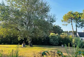 Child-friendly pleasant house with terrace & garden | Dogs allowed - Image 4
