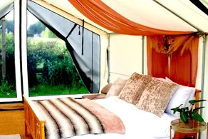 Charming Mini Tents Incredible for Couples in England - Image 2