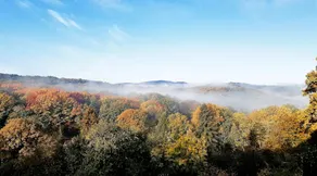 Schönes Privatzimmer mit Terrasse, Garten und Grill | Bergblick - Image 4