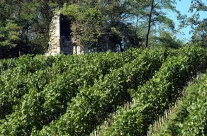 Ca' Nova - Guesthouse tra golf e laghi: Bilocale Nebbiolo - Image 5