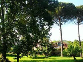 Voll ausgestattetes wunderschönes Ferienhaus mit privatem Pool, Grill und Terrasse | Naturblick | Hunde erlaubt - Image 4