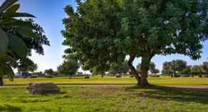 Exquisita villa apta para niños con jardín, terraza y barbacoa | Vistas al campo de golf - Image 4