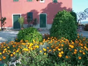 Castello di Luzzano: APPARTAMENTO "121" per 2 persone - Image 3