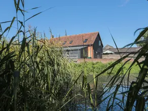 Cottage con giardino e griglia - Image 4
