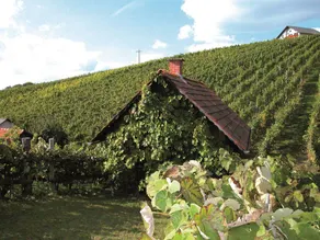 Winzerhof Familie Klöckl - Image 3