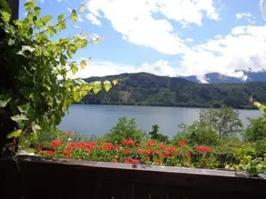 Family-friendly apartment with BBQ, garden & terrace | Lake view | Pets allowed - Image 3
