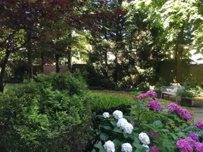 Beautiful holiday apartment with terrace & garden | Close to European Parliament - Image 4