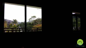 Thekkady homestay (Double deluxe bedroom with forest view balcony) - Image 5