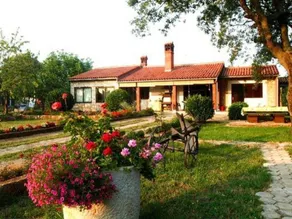 Charming apartment with terrace, garden & barbeque | Nature view | Pets are welcome - Image 3