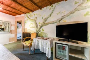 Room 'Chambre 11' with Shared Pool, Wi-Fi and Air Conditioning - Image 3