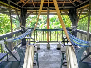Single Hammock Rental in a Coed Outdoor Dorm near Akaka Falls, Hawaii - Image 4