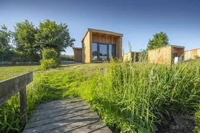 House | Dogs allowed - Image 2