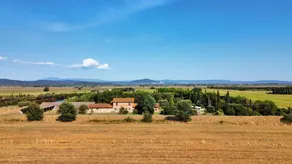 Querciolaie: Viburno (App 5) - Image 2