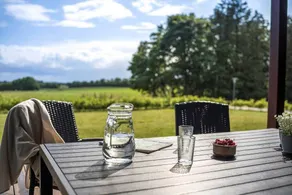 Fully equipped pleasant holiday home with terrace, barbecue & hot tub | Pets are welcome - Image 2