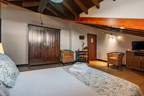 Wonderful private room with terrace, garden & jacuzzi | Garden view - Image 5