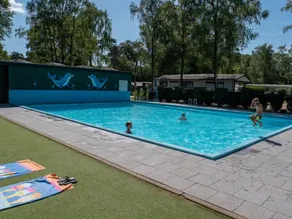 Child-friendly tent with pool & terrace | Pet-friendly - Image 2