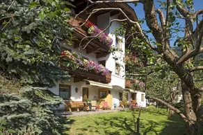 House | Pets allowed - Image 2