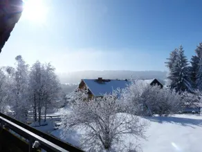 Children-friendly wonderful holiday apartment with barbecue, garden & sauna | Mountain view | Good for workation - Image 4