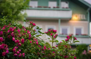 Gartenhotel Salzachgarni (DE Burghausen) - Mitterer - 002 - Image 4