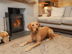 Family-oriented cottage with terrace & garden | Beach view | Pets allowed - Image 3