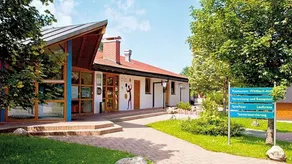 Appartamento accogliente e familiare con terrazza e piscina - Image 4