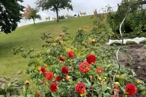 Holiday apartment with garden, terrace & BBQ | Garden view - Image 3