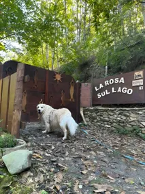 Children-friendly nice holiday home with barbecue, sauna & terrace | Lake view | Suitable for remote work | Dogs allowed - Image 4