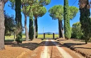 Querciolaie: Viburno (App 5) - Image 3
