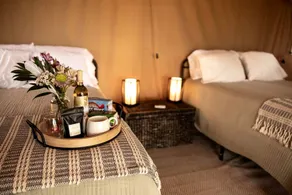Charming Vineyard Glamping Tent with Wine Tastings near Lake Shetek in Currie, Minnesota - Image 3