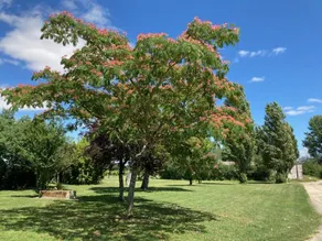 Gîte avec barbecue et jardin | Vue jardin - Image 3