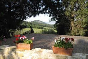 Fattoria Il Leccio Agriturismo: Fienile con Piscina - Image 2
