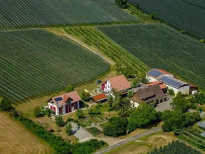 Bio-Obstgut Oberhof GbR (Überlingen - Lippertsreute) - Image 3