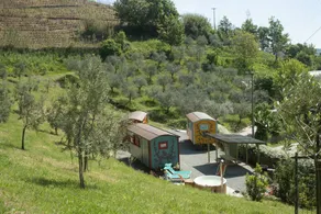 Agriturismo La Rovere: I carrozzoni Gitani - La Poiana e gli Ulivi - Image 5
